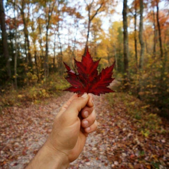 Meet your Posher, April - Picture 1 of 1